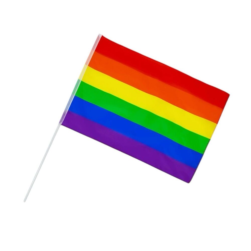 6 Small Gay Pride Mini Stick Flags LGBTQ+ Small Hand Held Party Parade Favor 8x5